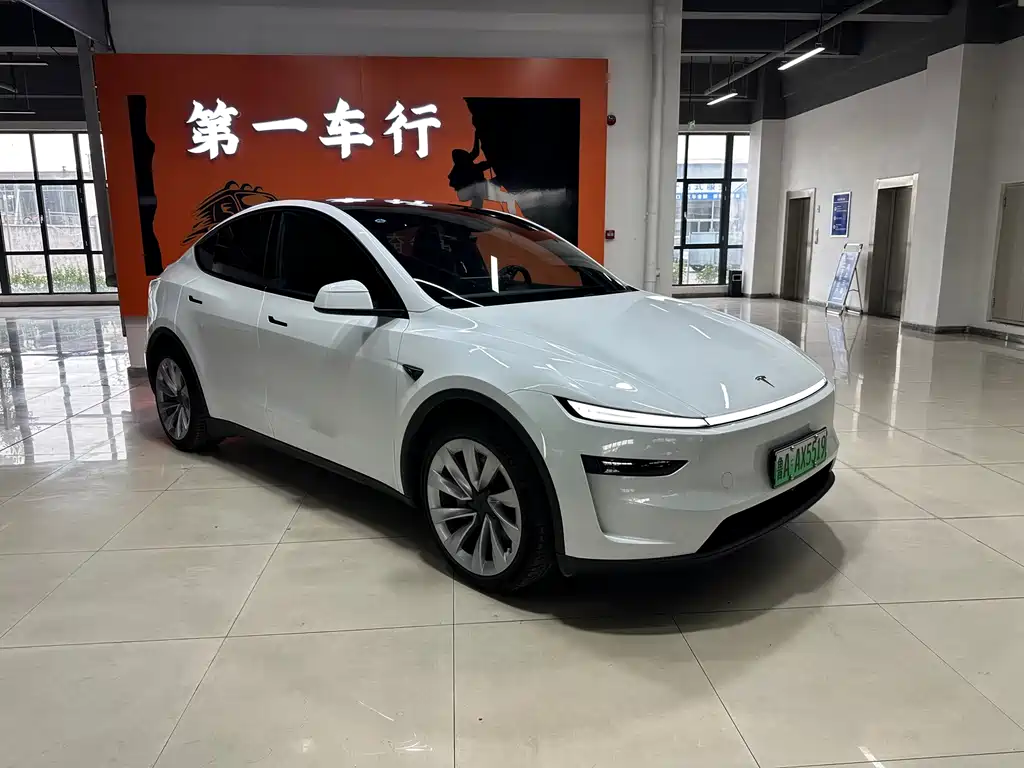Tesla Model Y — фото 2