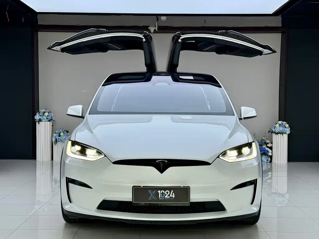 Tesla Model X — фото 2