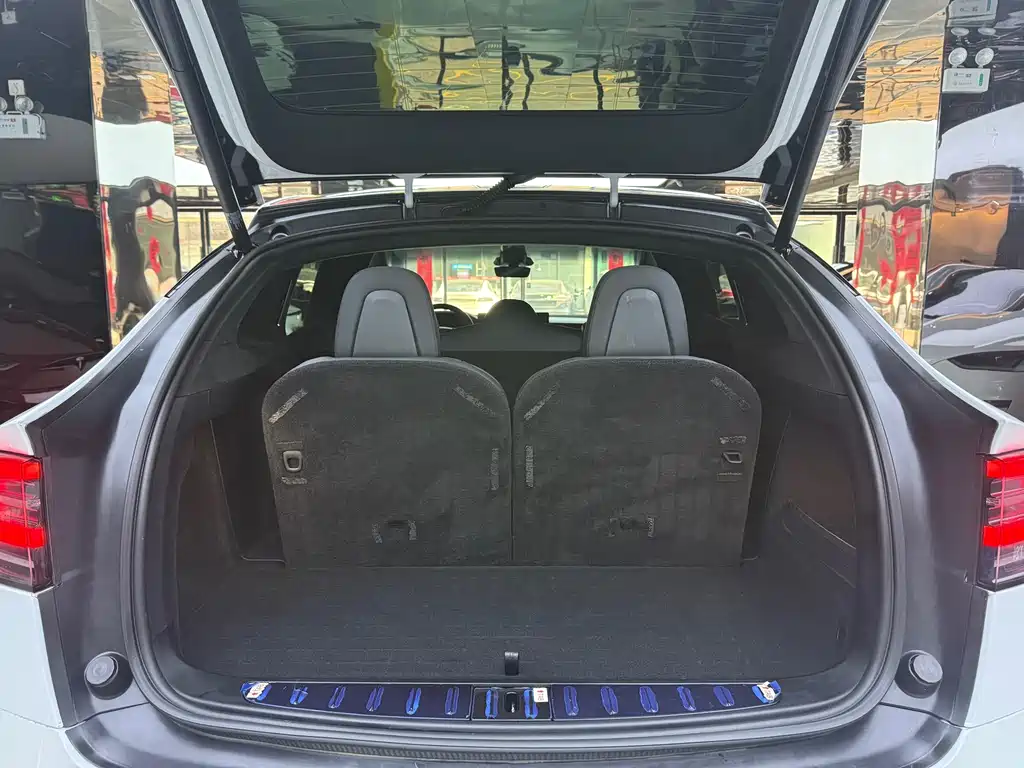 Tesla Model X — фото 14