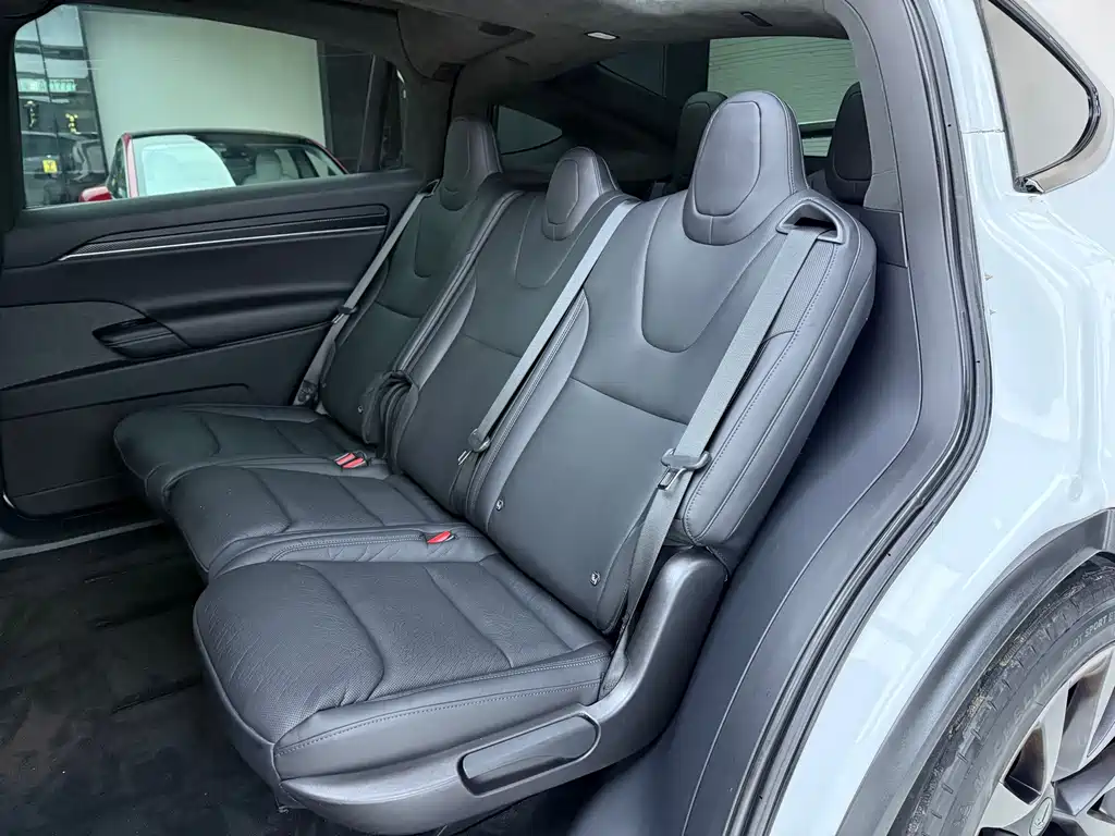 Tesla Model X — фото 6