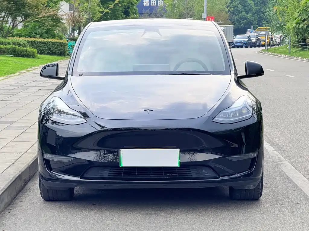 Tesla Model Y — фото 2