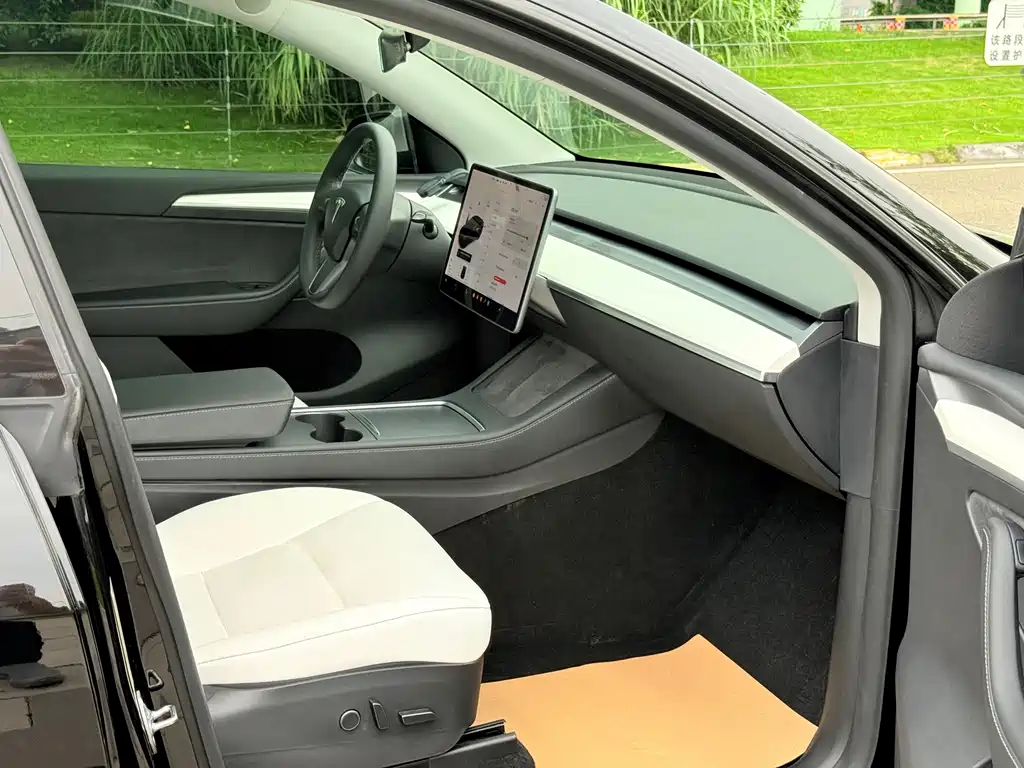 Tesla Model Y — фото 11