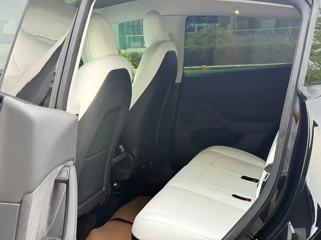 Tesla Model Y — фото 19