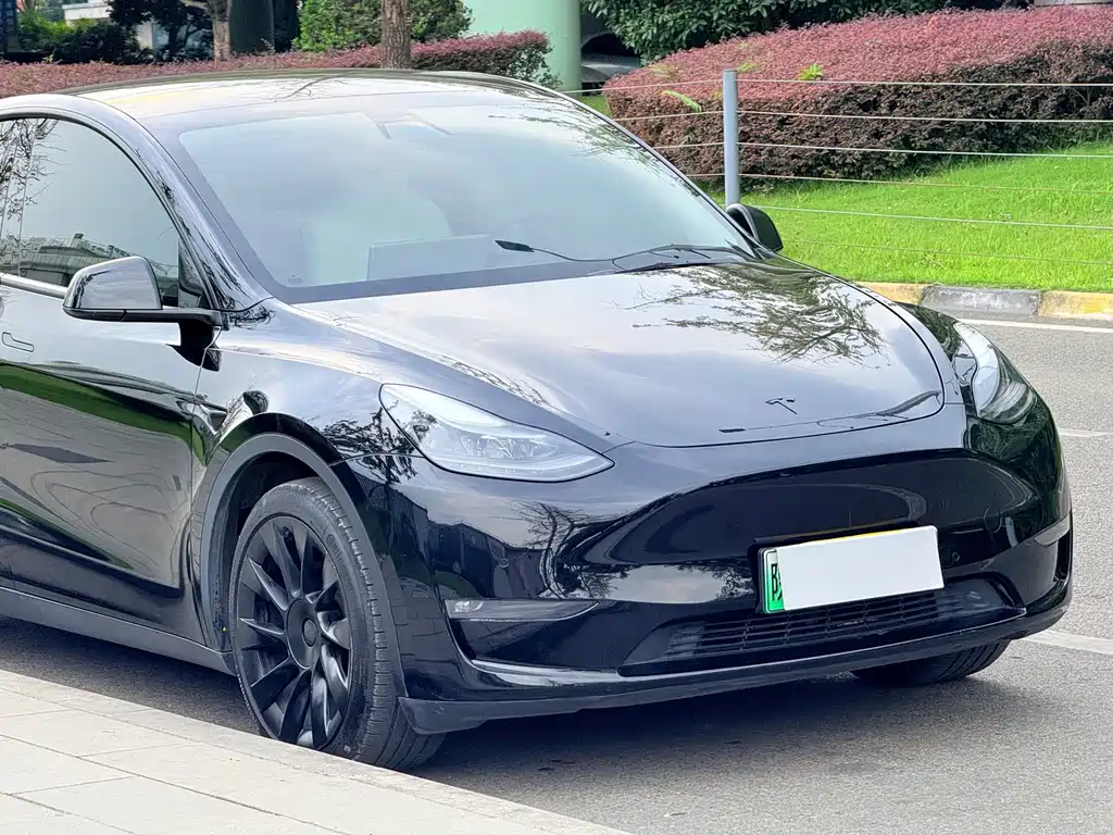 Tesla Model Y — фото 3