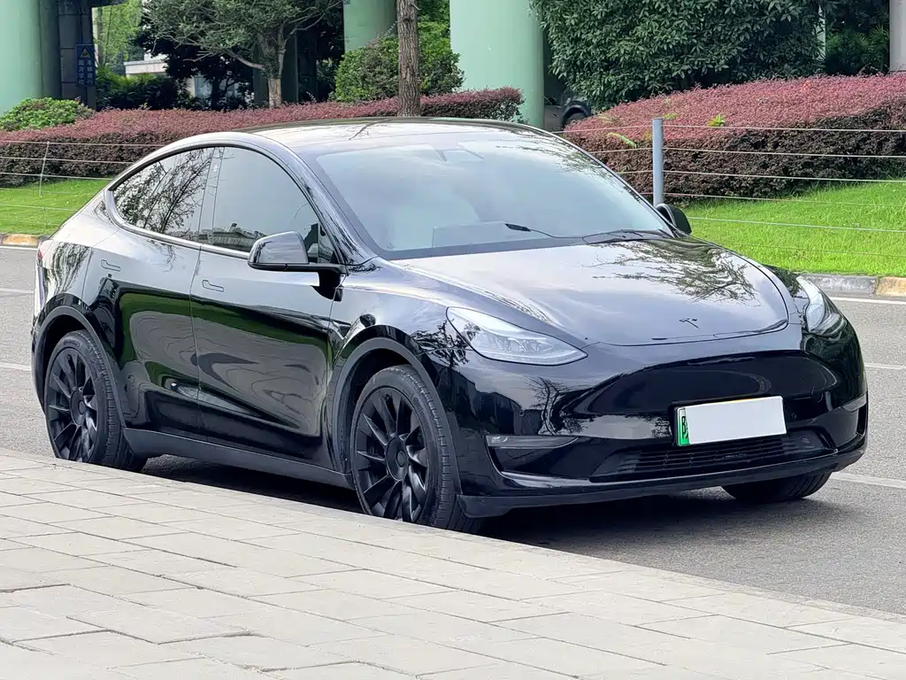 Tesla Model Y — фото 4