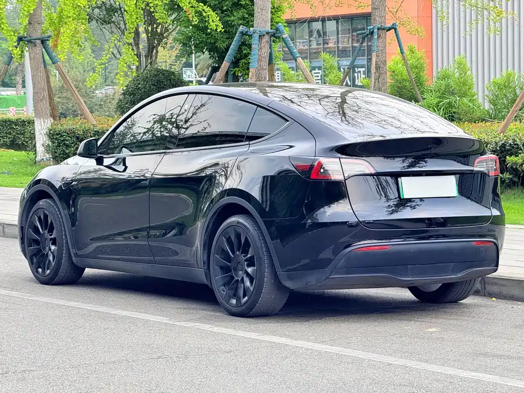 Tesla Model Y — фото 8