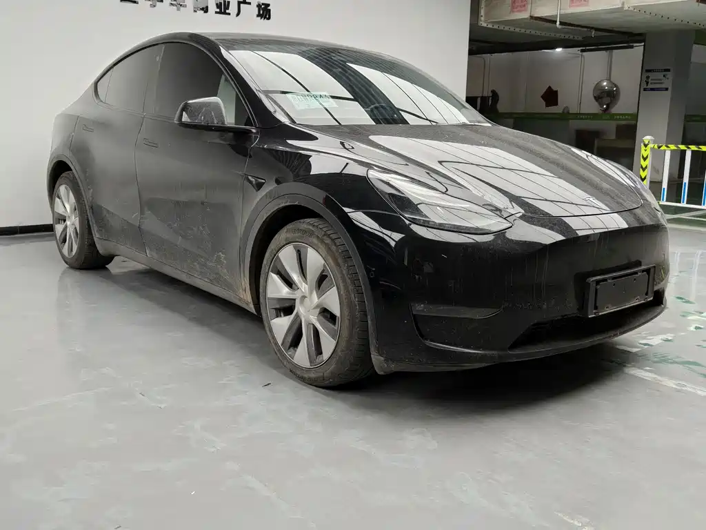 Tesla Model Y — фото 2