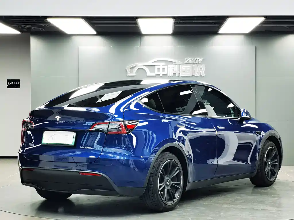 Tesla Model Y — фото 3