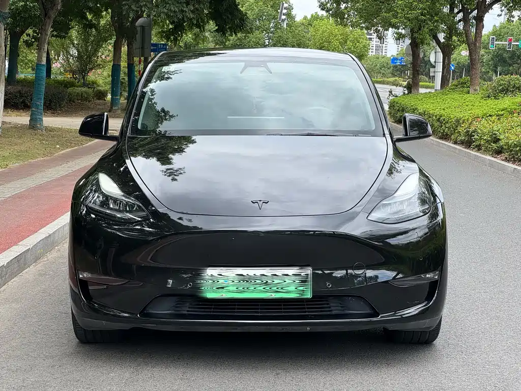 Tesla Model Y — фото 2