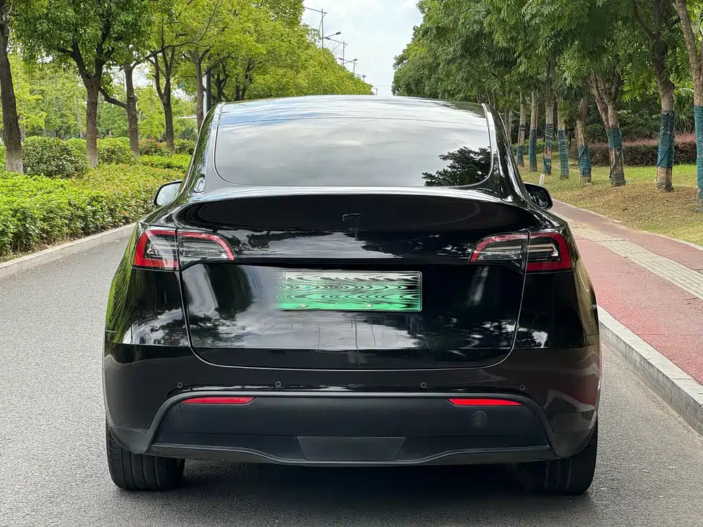Tesla Model Y — фото 11