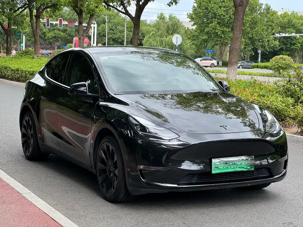 Tesla Model Y — фото 3