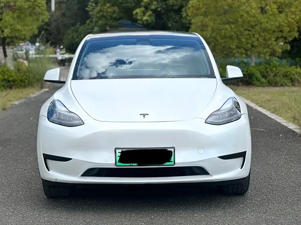 Tesla Model Y — фото 2