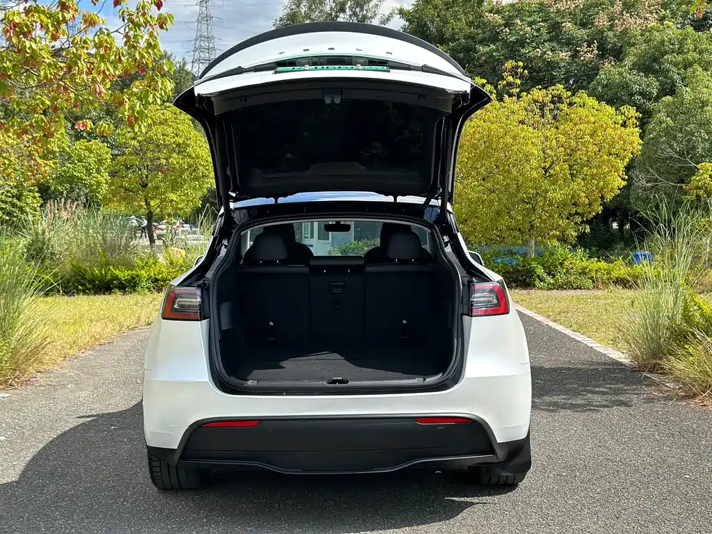 Tesla Model Y — фото 18