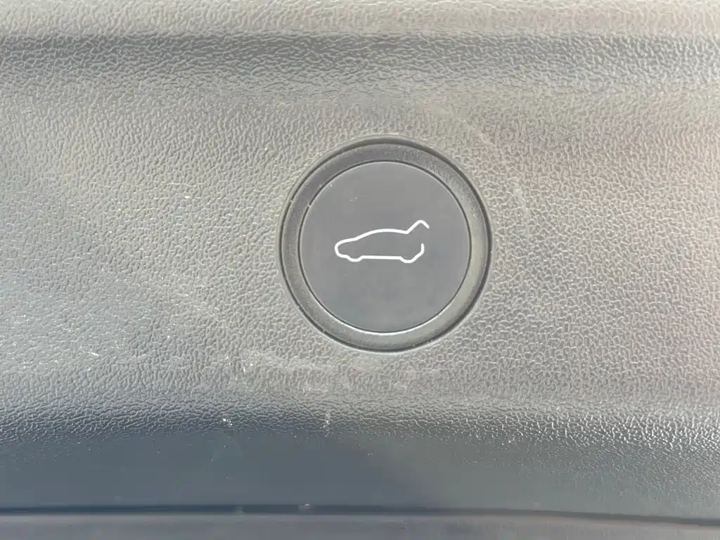 Tesla Model Y — фото 19