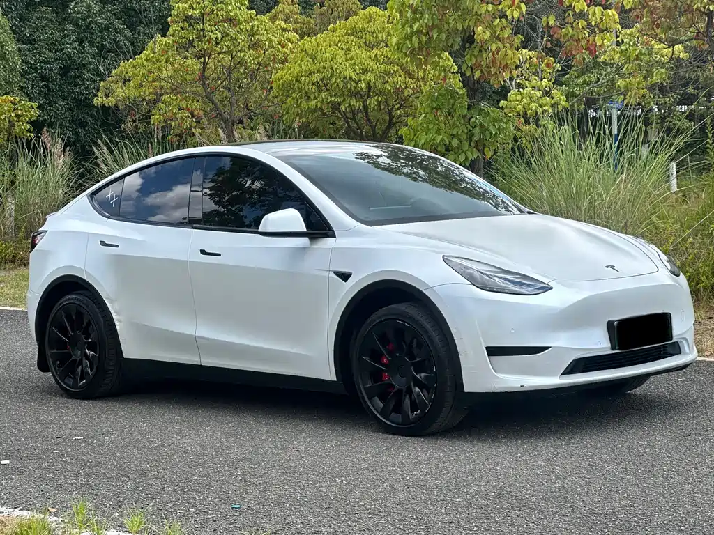 Tesla Model Y — фото 3