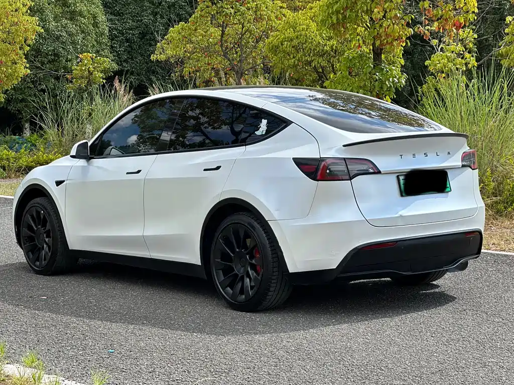 Tesla Model Y — фото 23