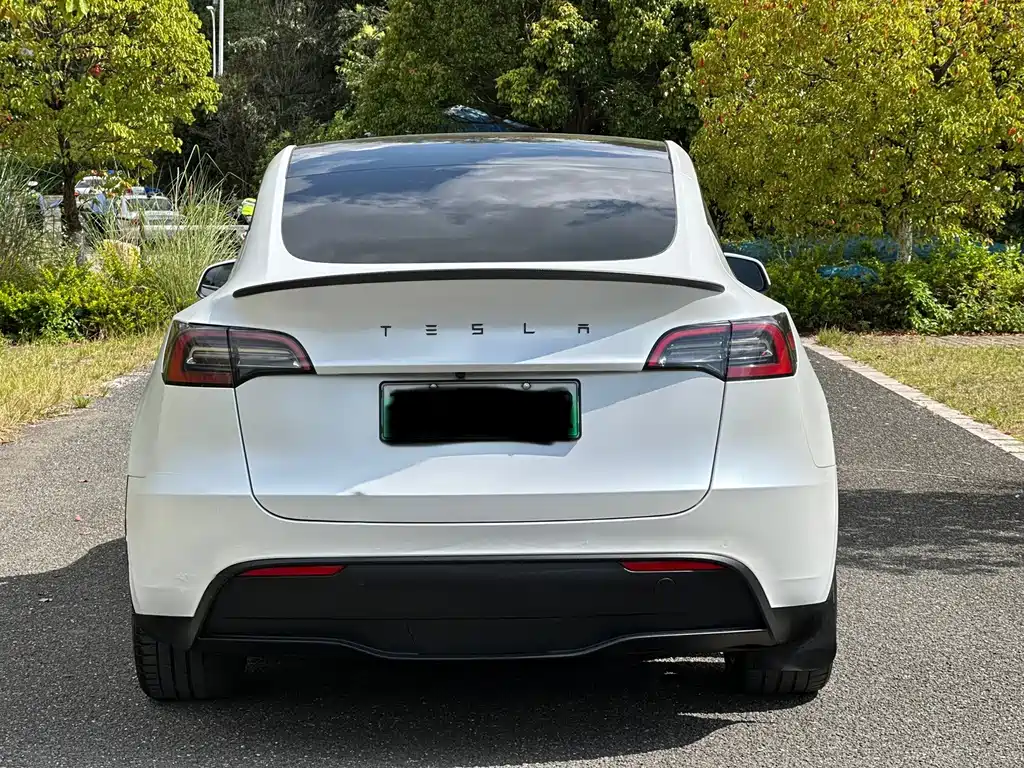 Tesla Model Y — фото 24