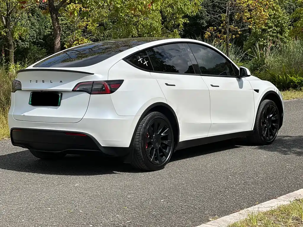Tesla Model Y — фото 25
