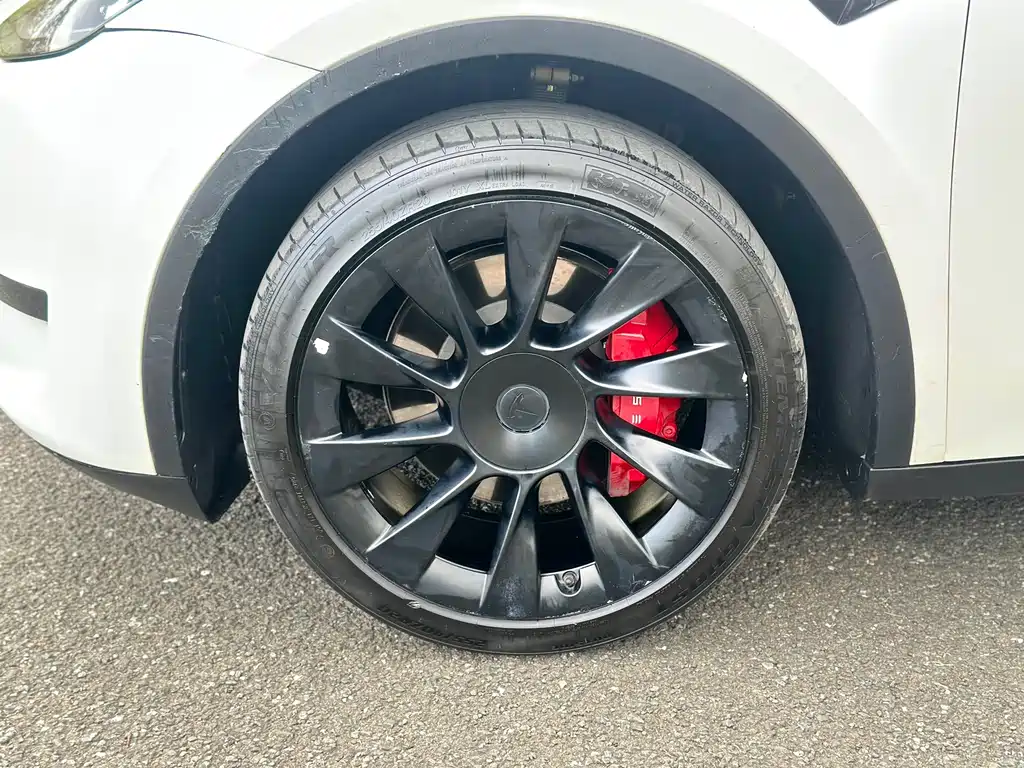 Tesla Model Y — фото 5