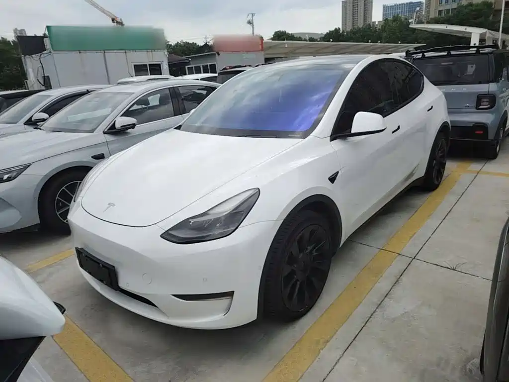 Tesla Model Y — фото 2