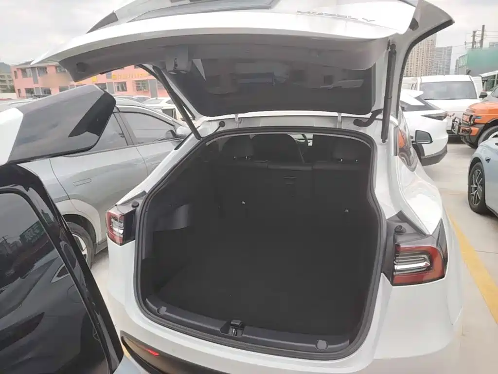Tesla Model Y — фото 19