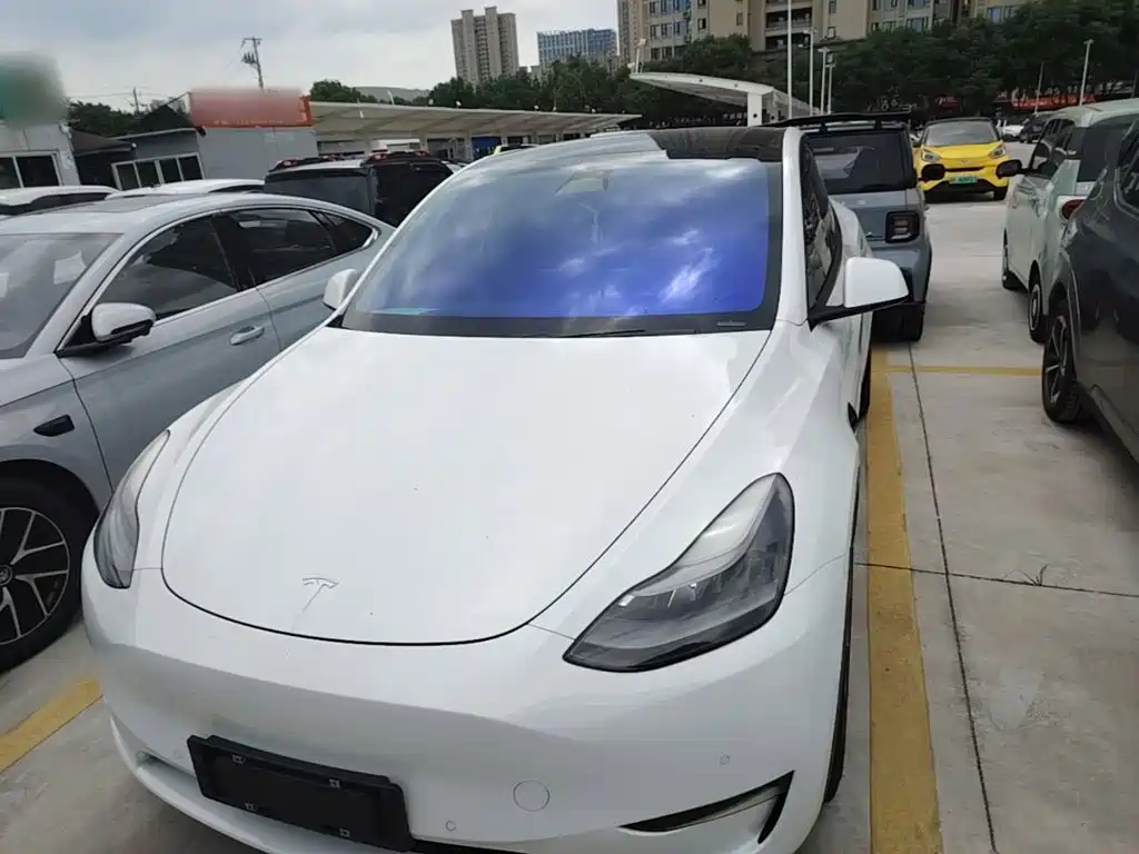 Tesla Model Y — фото 3