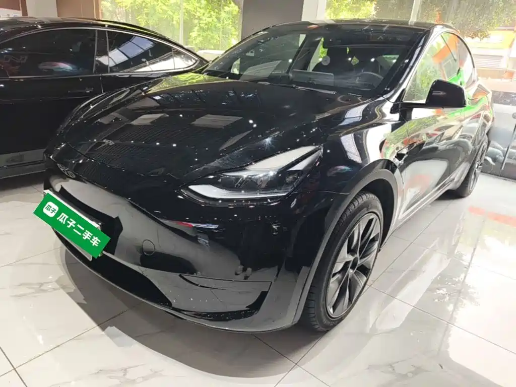 Tesla Model Y — фото 2