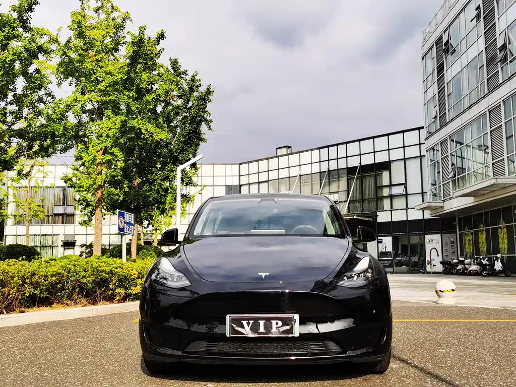 Tesla Model Y — фото 2