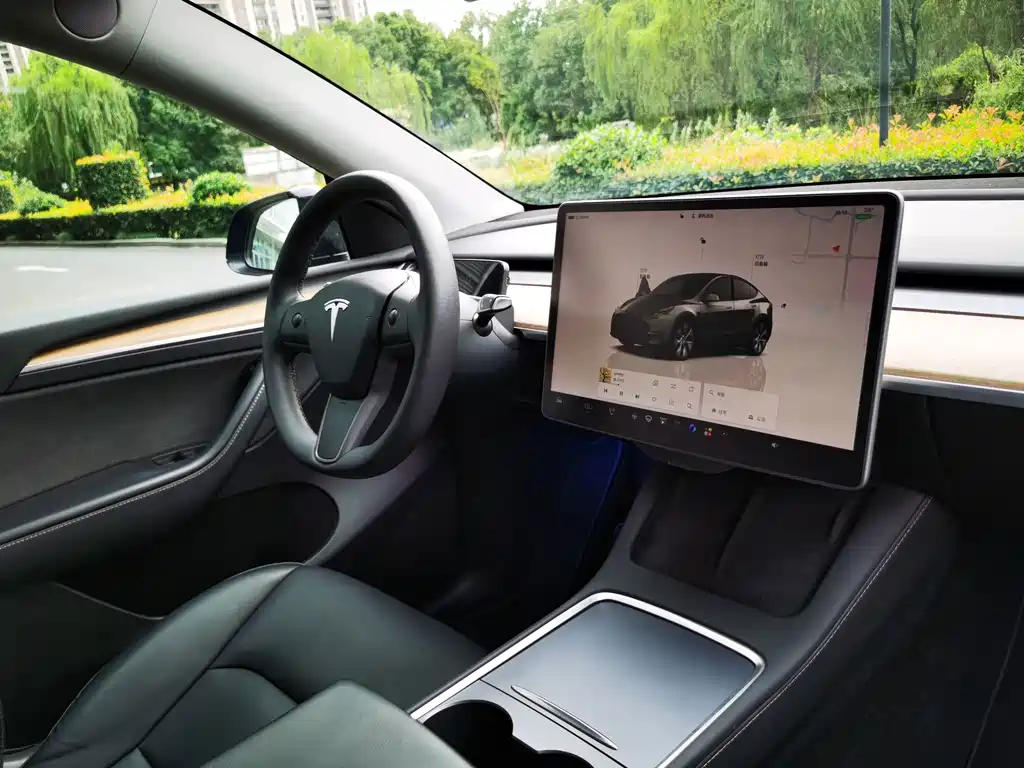 Tesla Model Y — фото 11