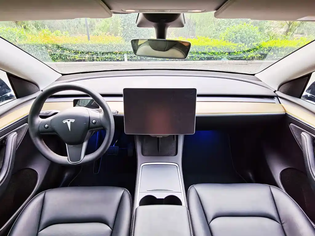 Tesla Model Y — фото 13