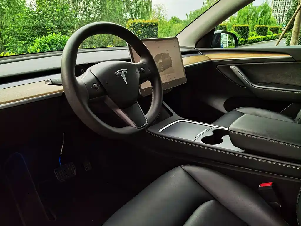 Tesla Model Y — фото 15