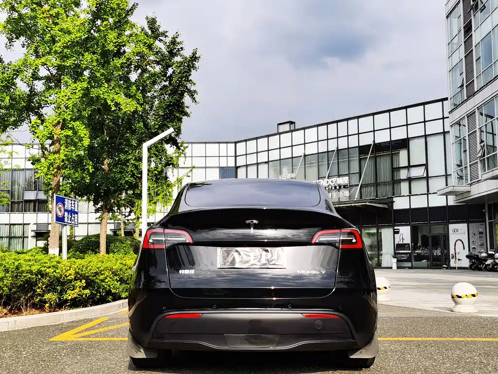 Tesla Model Y — фото 5