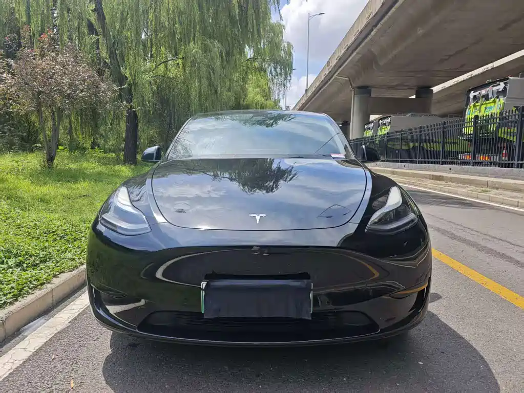 Tesla Model Y — фото 2