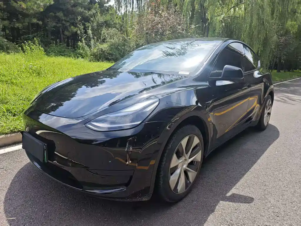 Tesla Model Y — фото 1