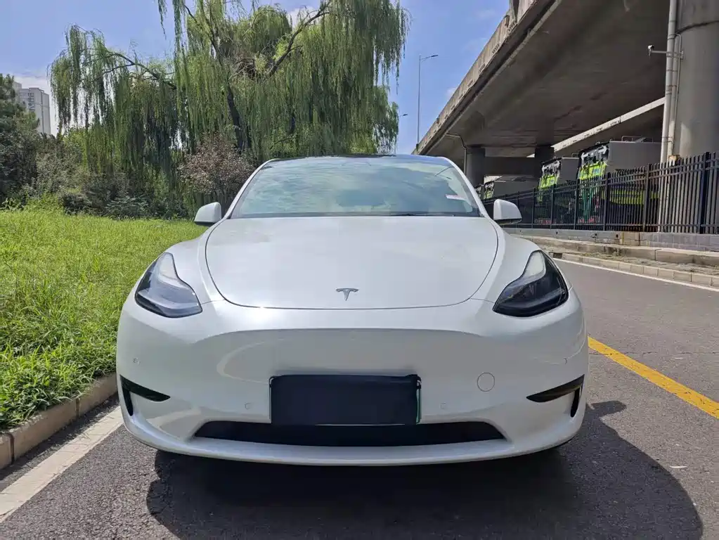 Tesla Model Y — фото 2