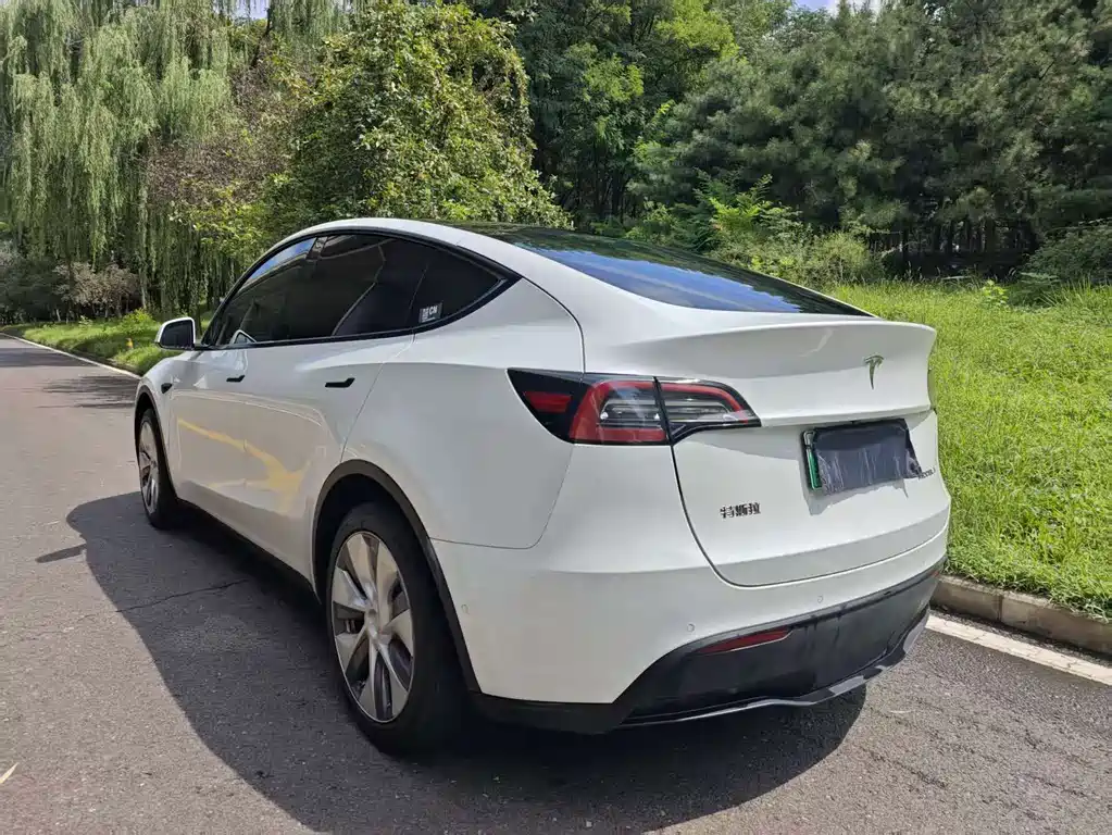 Tesla Model Y — фото 3