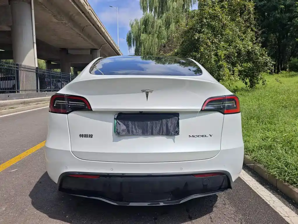 Tesla Model Y — фото 4