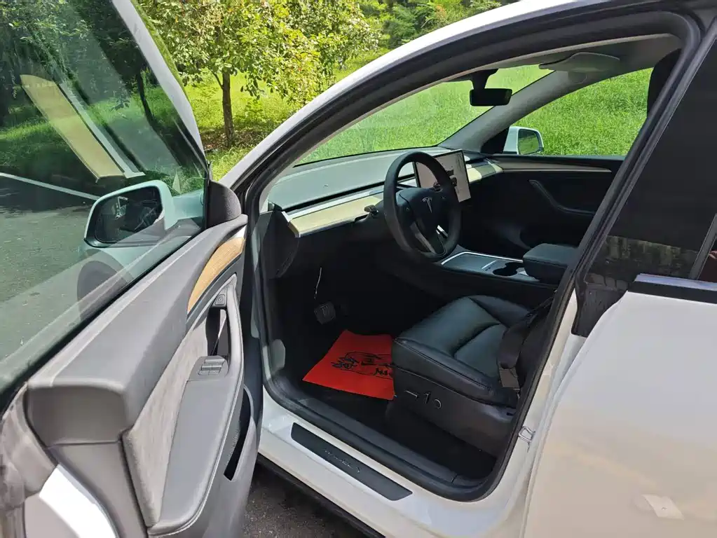 Tesla Model Y — фото 8
