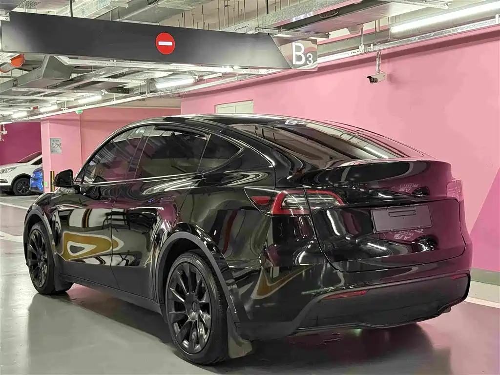 Tesla Model Y — фото 3