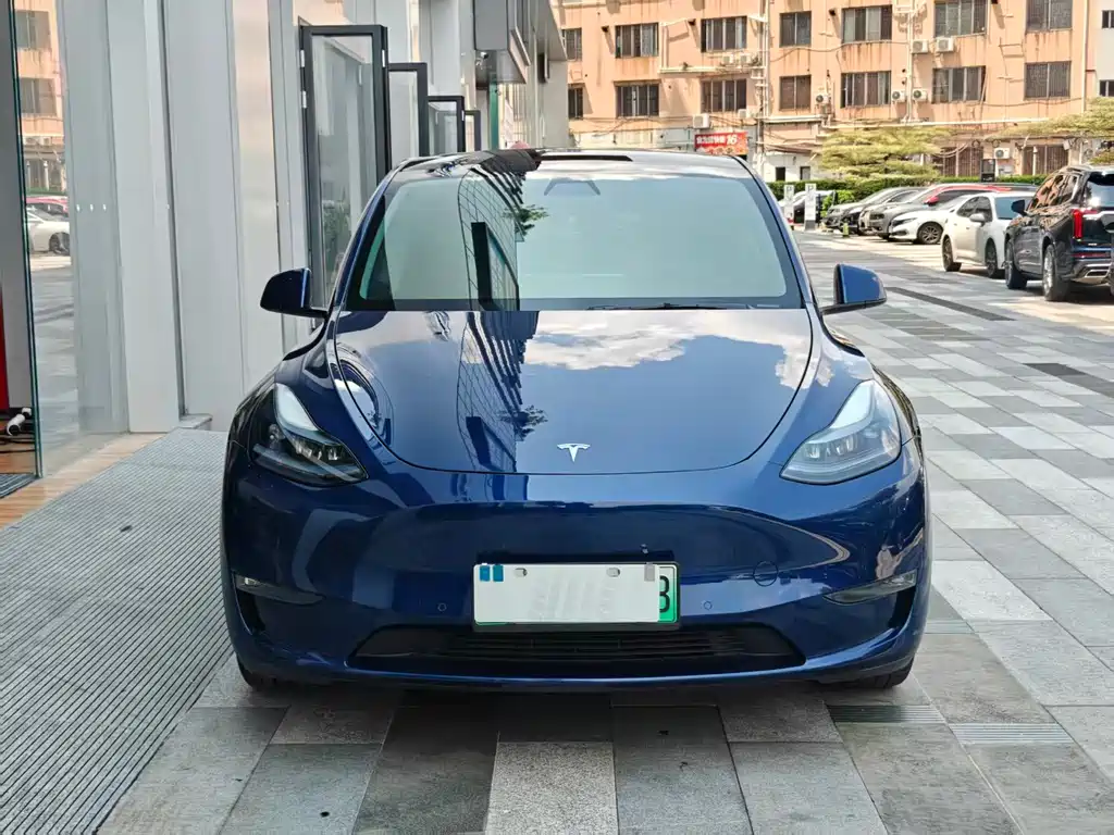 Tesla Model Y — фото 15