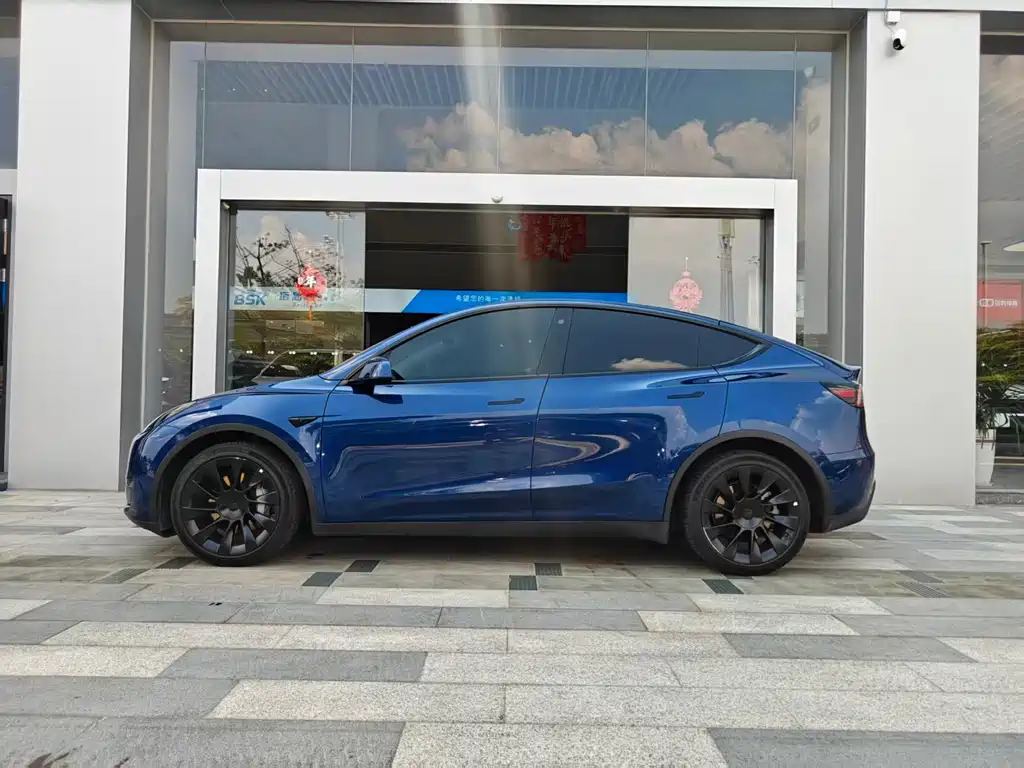 Tesla Model Y — фото 3