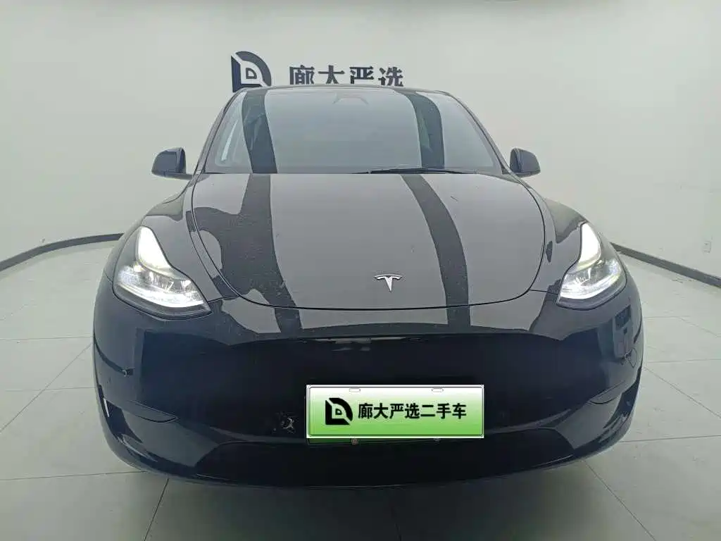 Tesla Model Y — фото 2
