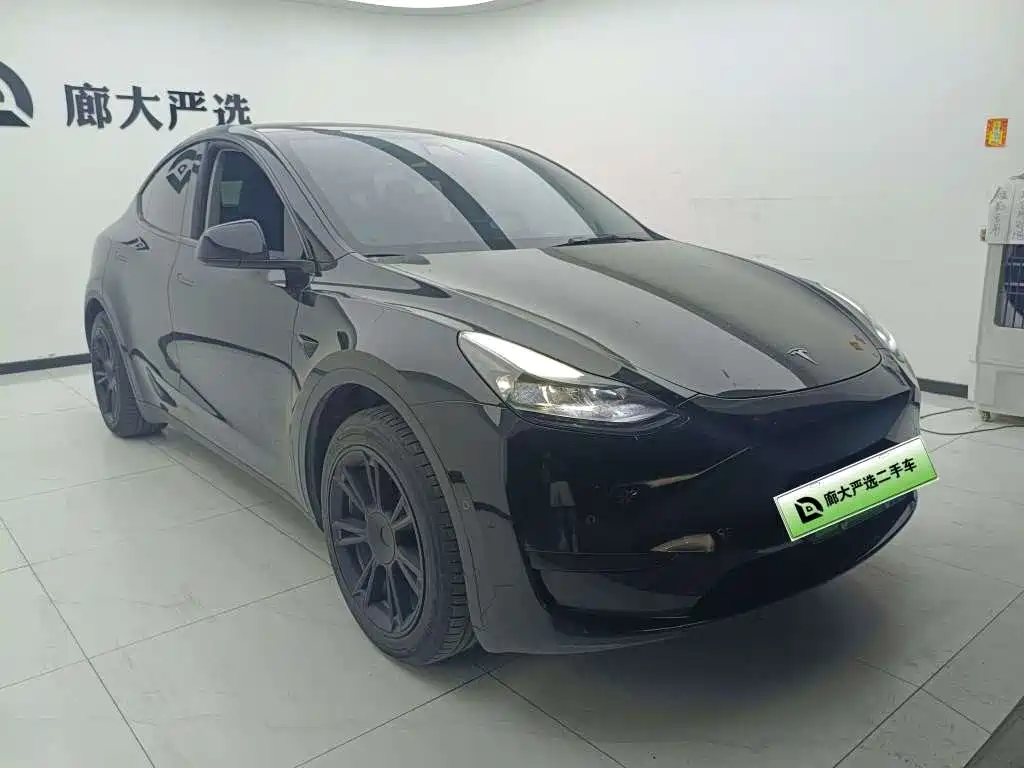 Tesla Model Y — фото 3
