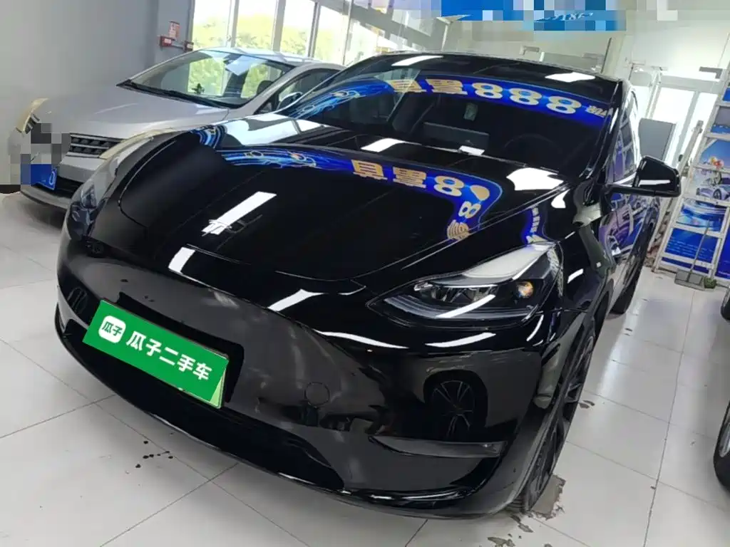Tesla Model Y — фото 2