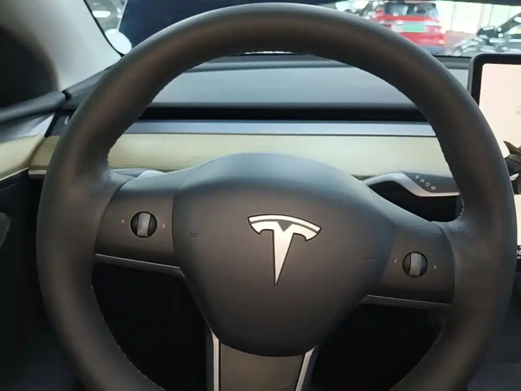 Tesla Model Y — фото 11