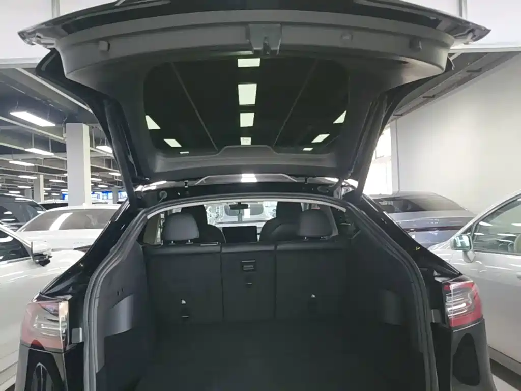 Tesla Model Y — фото 19