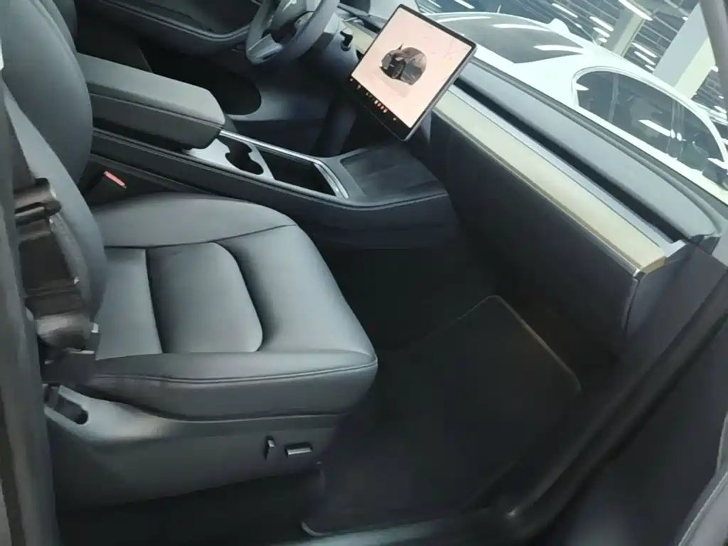 Tesla Model Y — фото 25