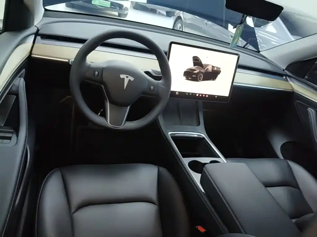 Tesla Model Y — фото 10