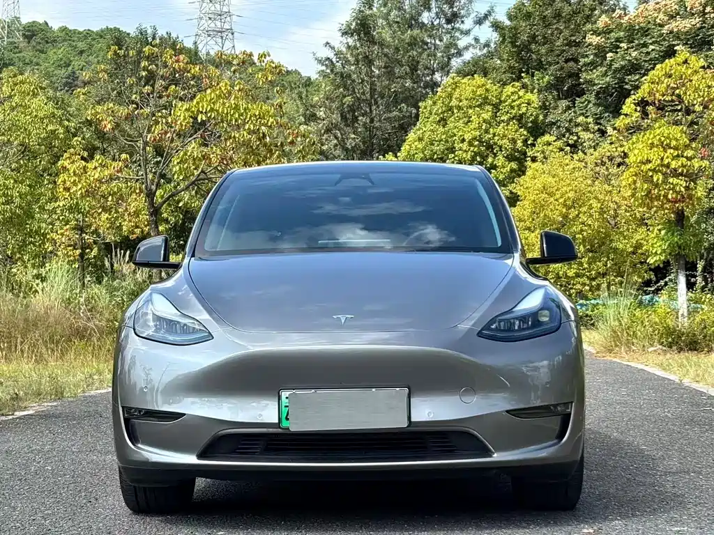 Tesla Model Y — фото 2