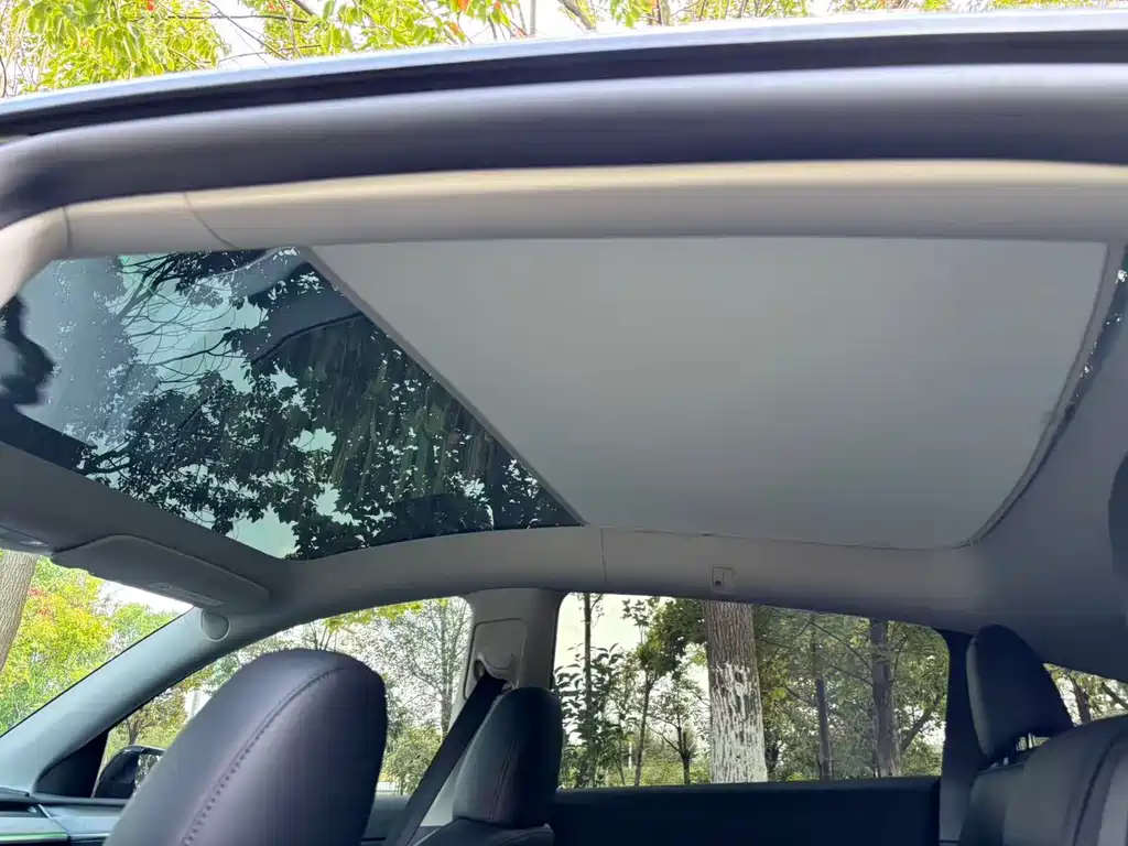 Tesla Model Y — фото 15